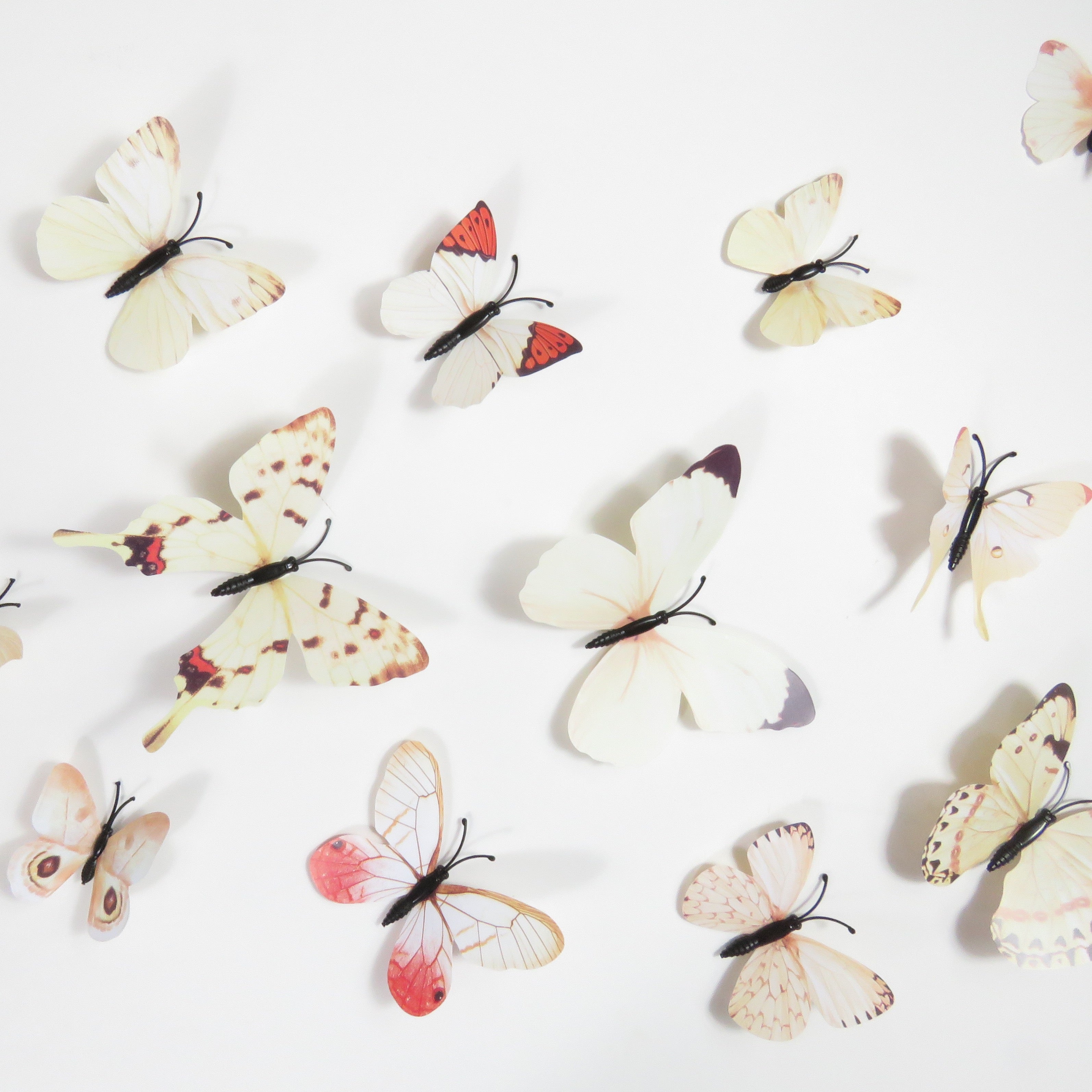 Butterfly  decorative Wall Art