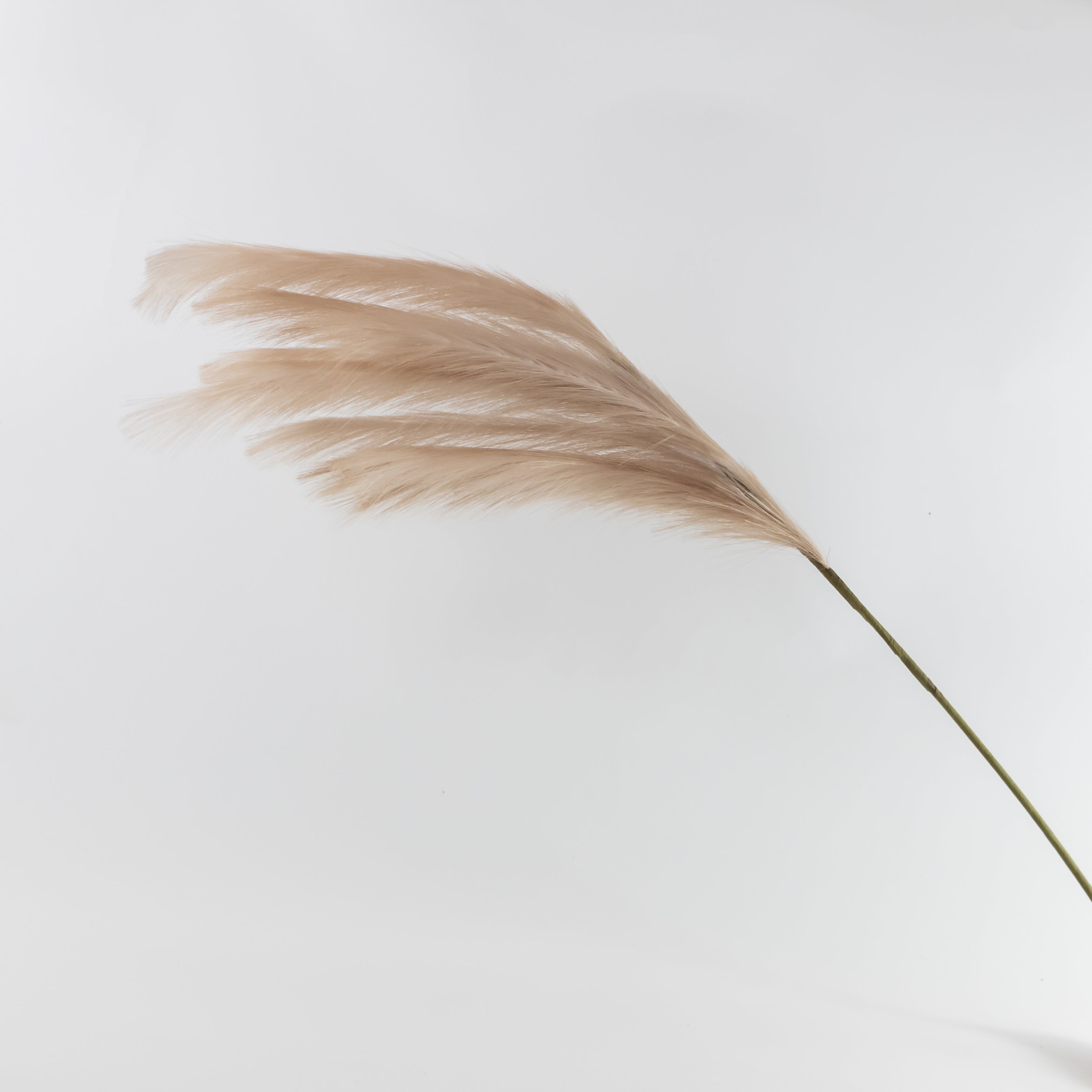 Faux Pampas Grass Spray Blush